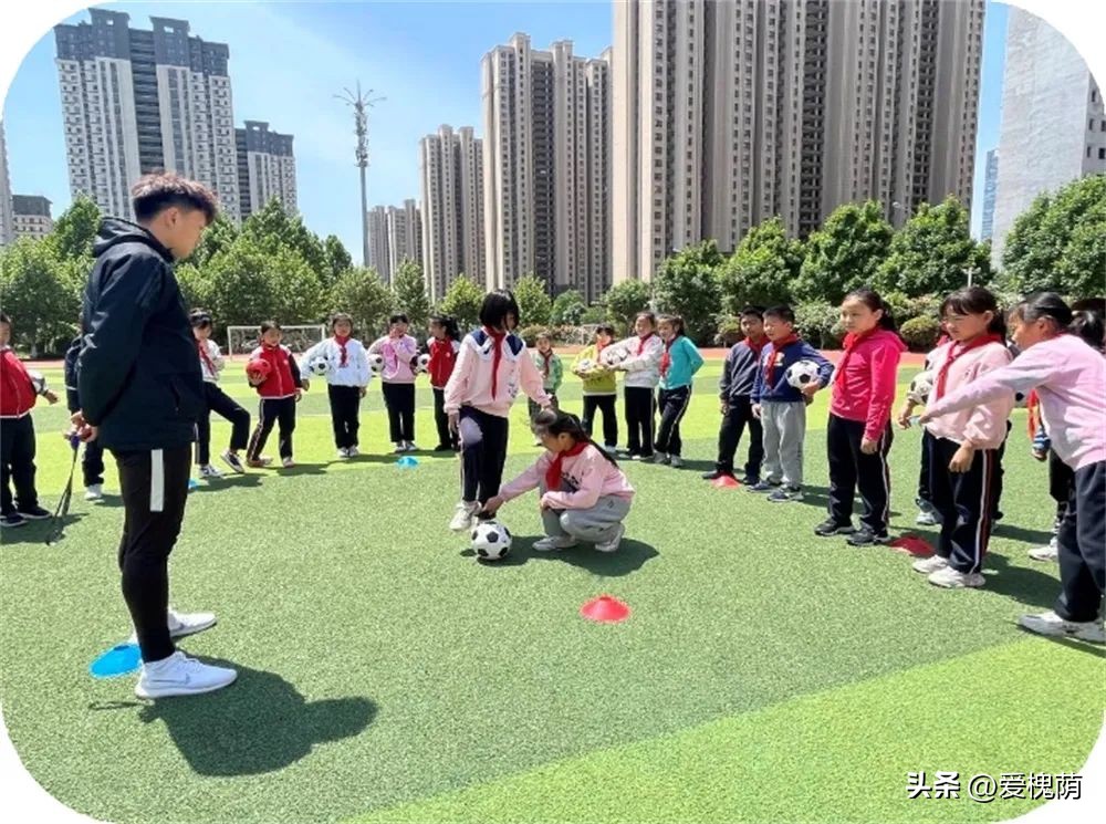 济南市槐荫区大金小学,济南大金小学