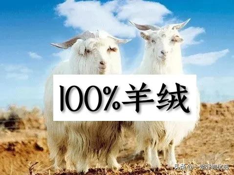 羊绒围巾小众品牌推荐,苏格兰羊绒围巾最好的牌子