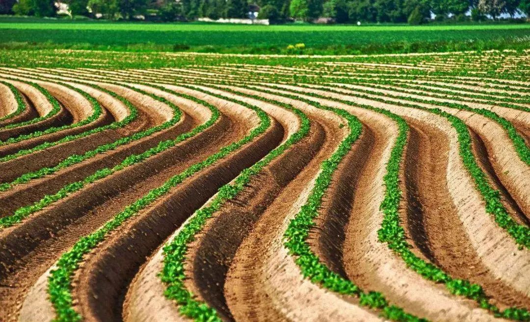 个人土地流转中间人怎么签订合同,土地流转私下签订合同是否有效