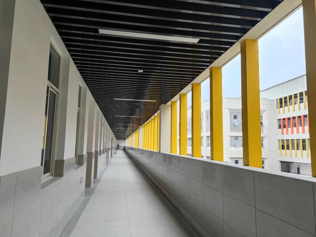 新时代新征程新伟业|这两个项目九月前投用！