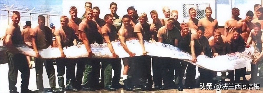 海怪“地震鱼”现身台湾！足有6米长，近期会发生地震海啸吗？