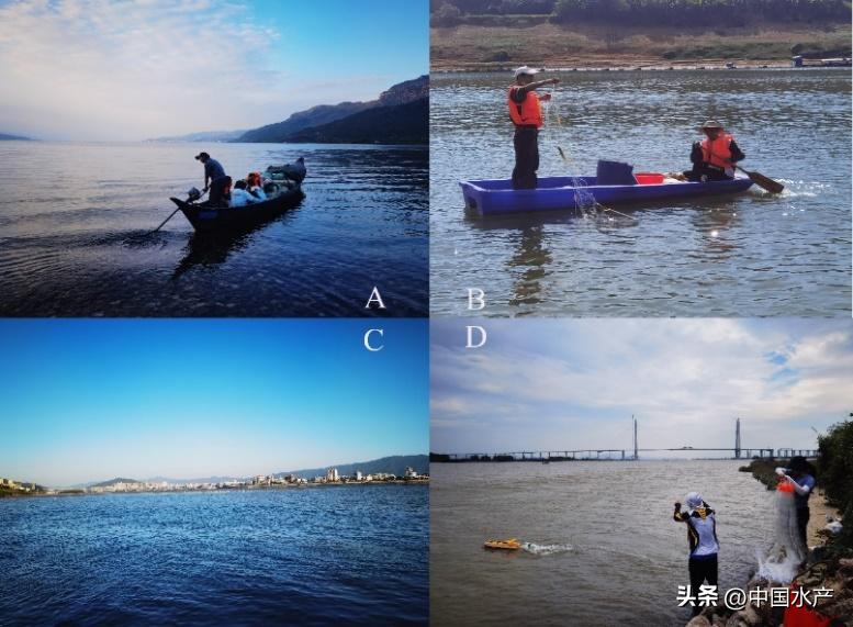 水生外来物种入侵防控工作方案,水生动物防疫