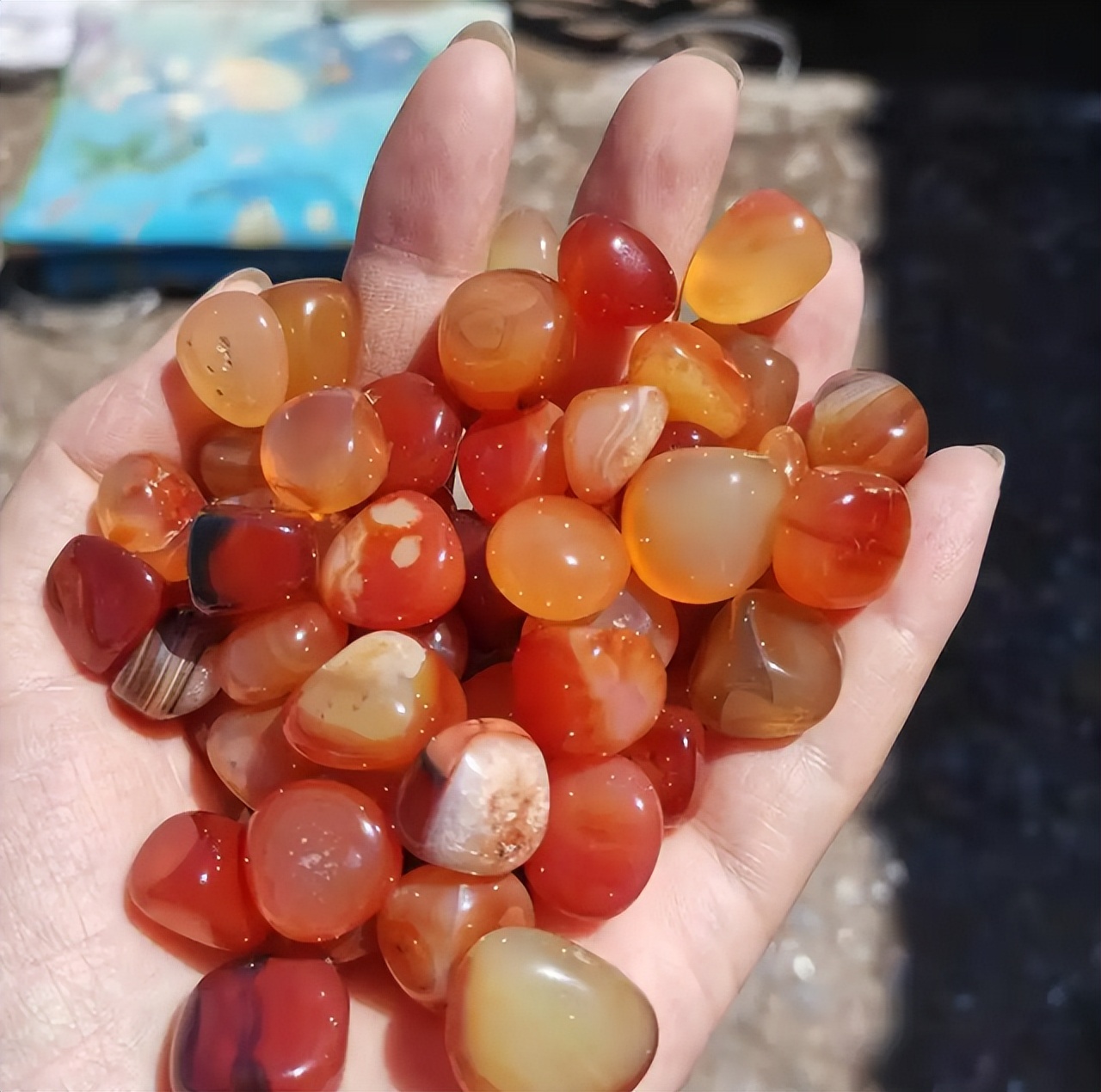 内蒙古五彩石现状,内蒙古湖泊干涸现五彩石