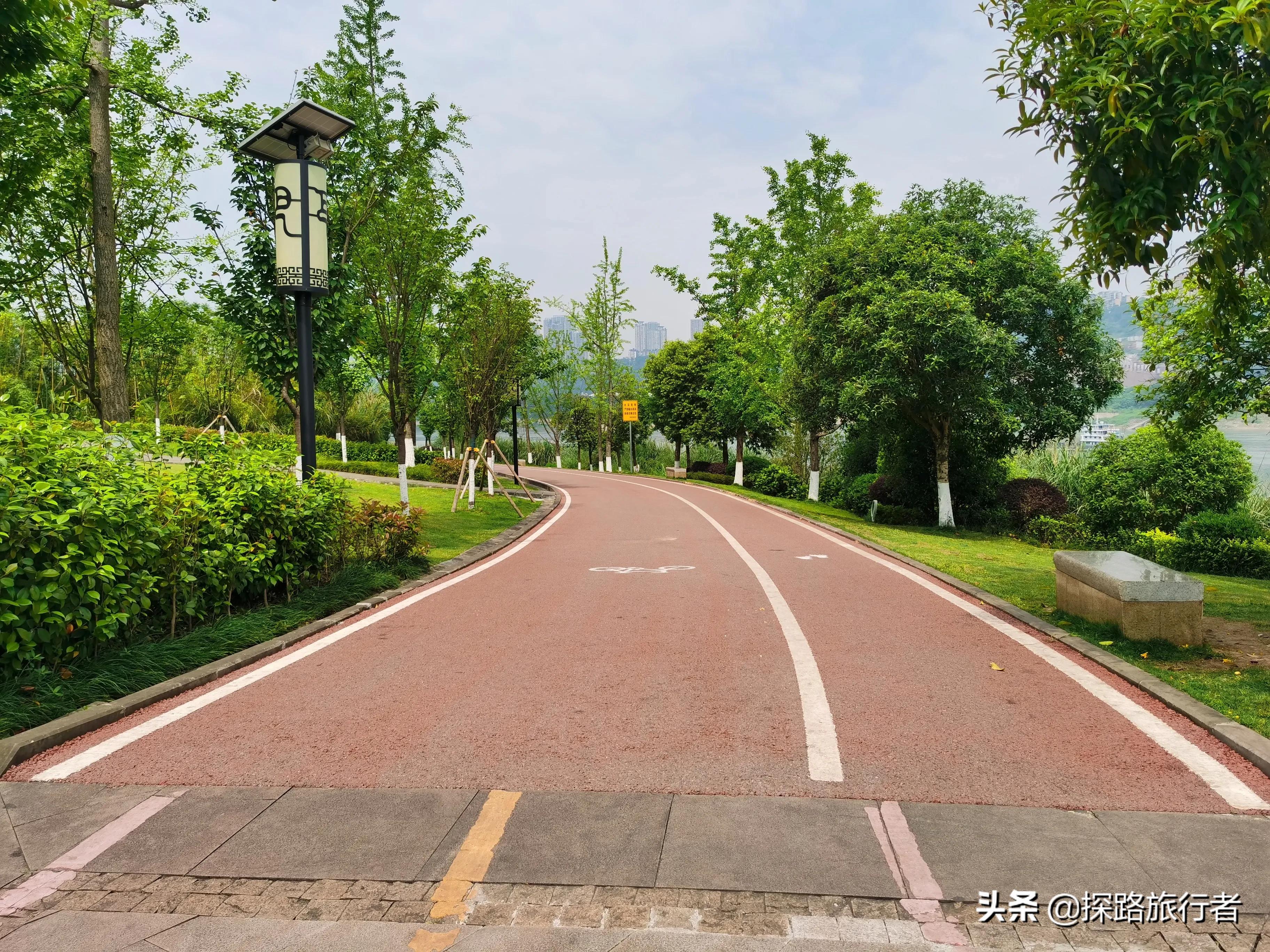 巴滨路茶花广场湿地公园,重庆南滨公园游玩攻略路线推荐