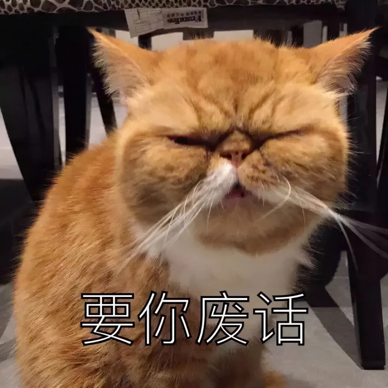 关于圆周率的资料图文,圆周率通俗讲解视频