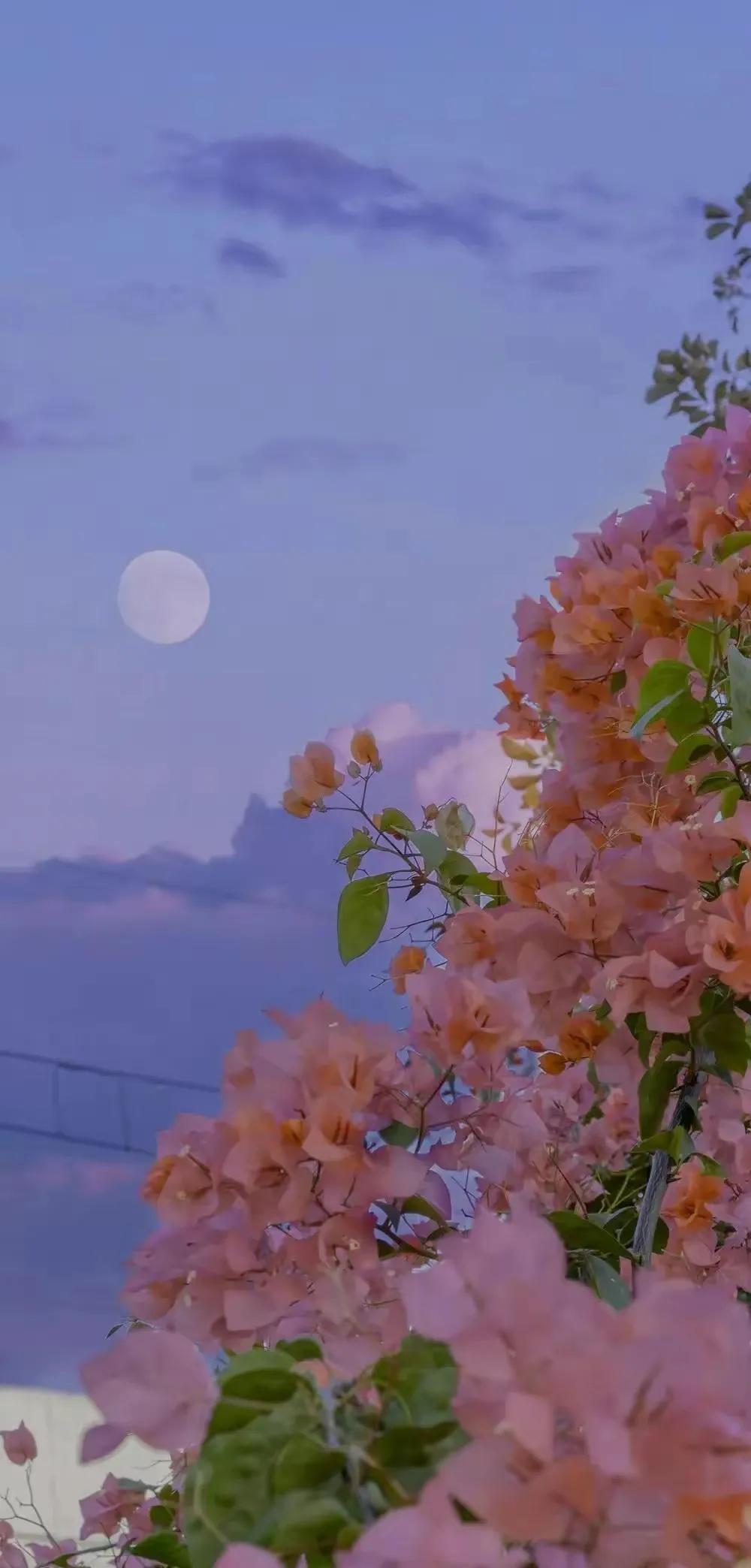 人生就是一场旅行呀,人生就是一场旅行完整版