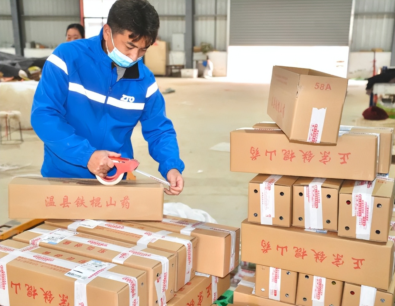 中通快递助力“温县山药”走出去，预计双11期间将突破每日5万件