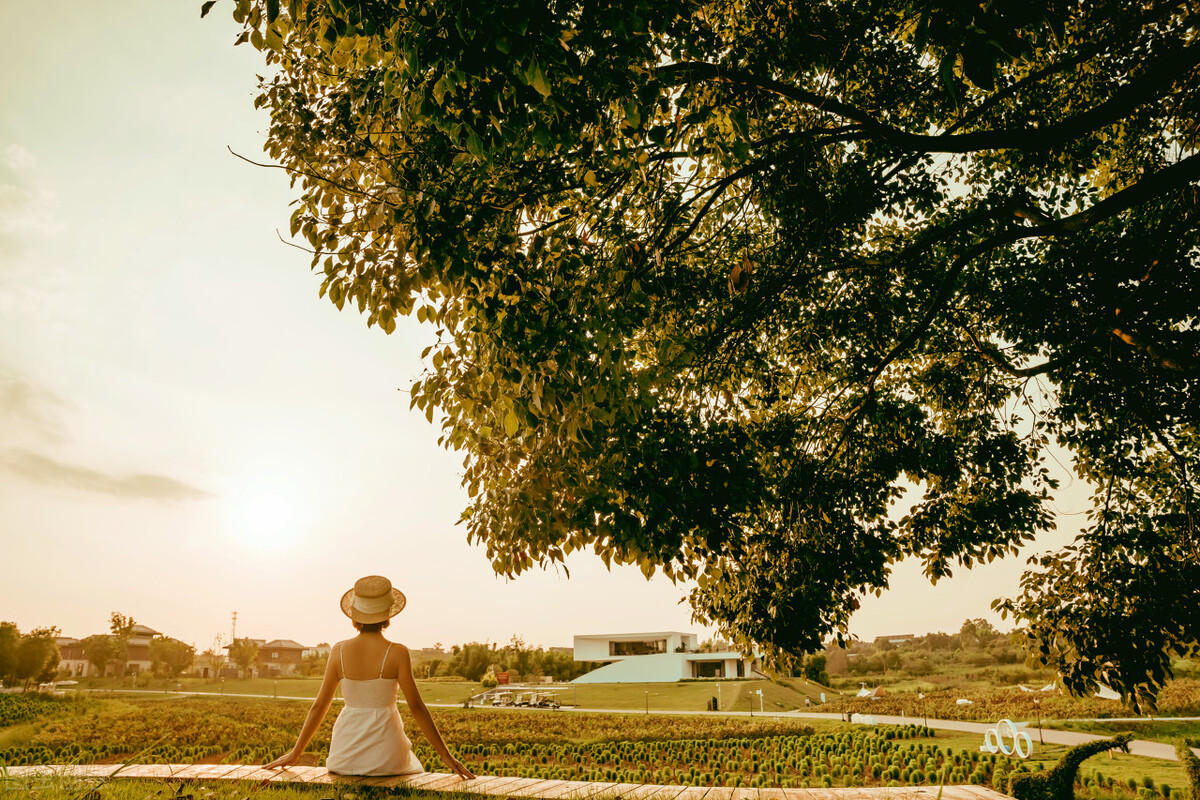 成功人士个性签名句子,个性签名句子短句励志