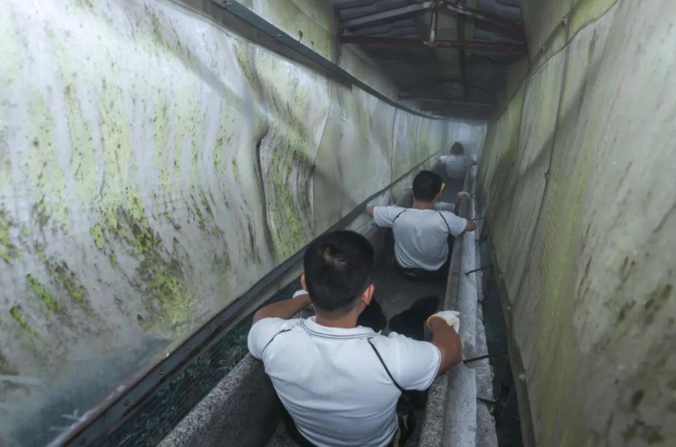 泉州安溪国心绿谷园门票多少钱,安溪国心绿谷露营节