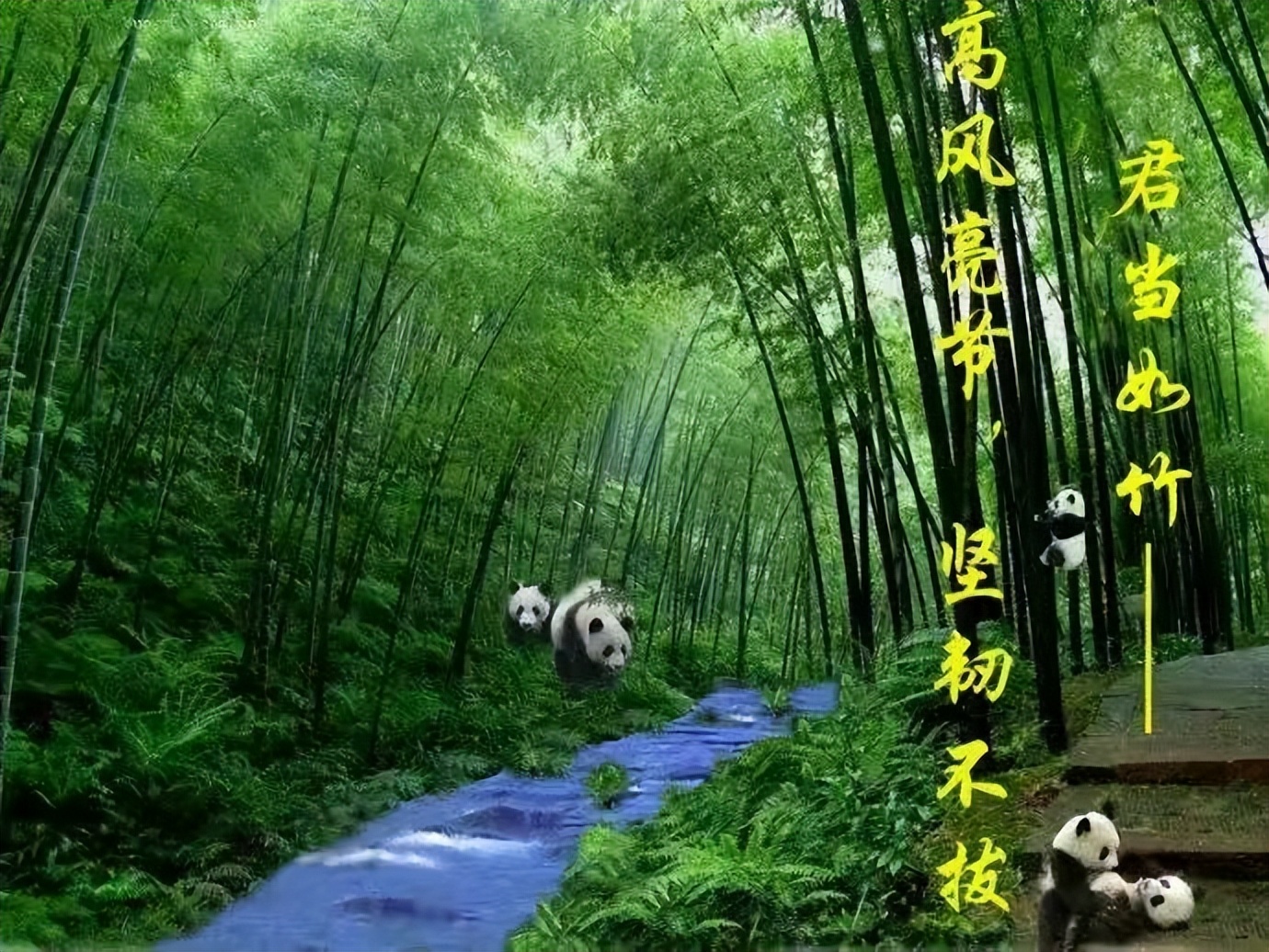 【原创】散文·江南春笋