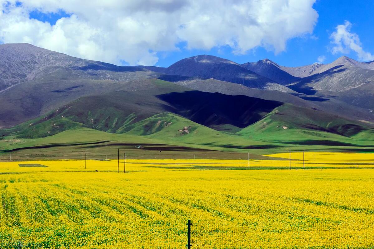 扩展语句压缩语段教案,语文扩展语句和压缩语段