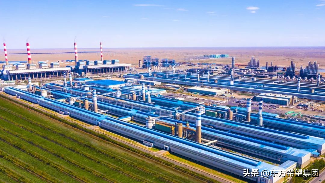 2020东方希望集团收入,东方希望集团百强企业