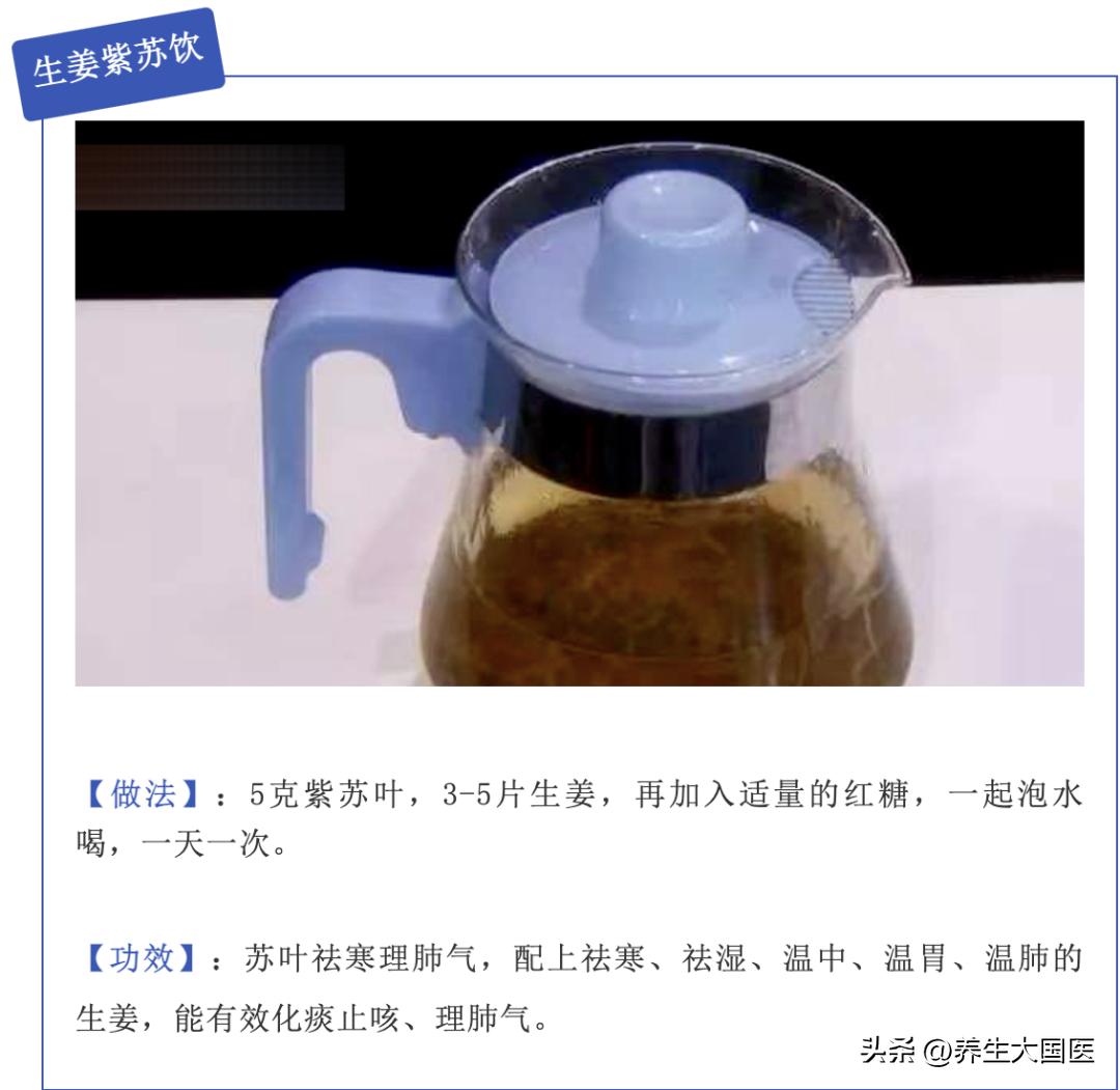 阳台种些它们，家中多了味“保健药”！助睡眠、理肺气、强身体，错过太可惜