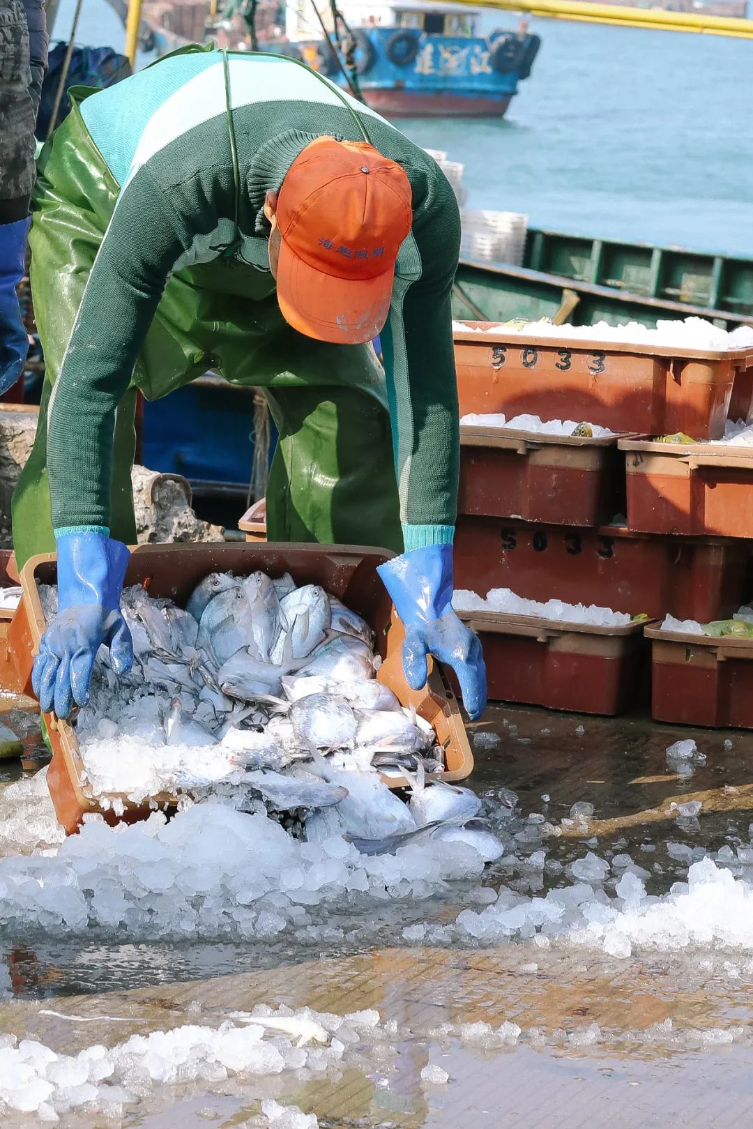 榛勫矏缇庨娴烽矞,绂忓缓杩炴睙榛勫矏娴烽矞缇庨