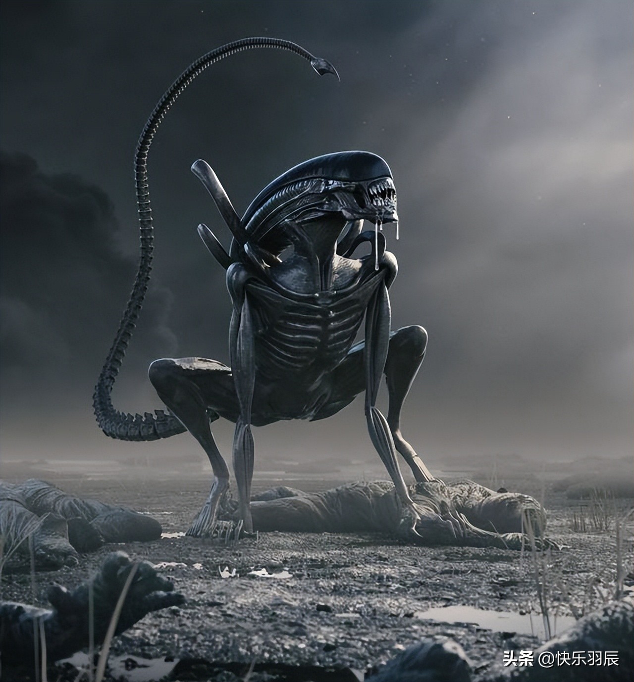 车外的不明外星生物恐怖片,十大最恶心外星生物科幻电影