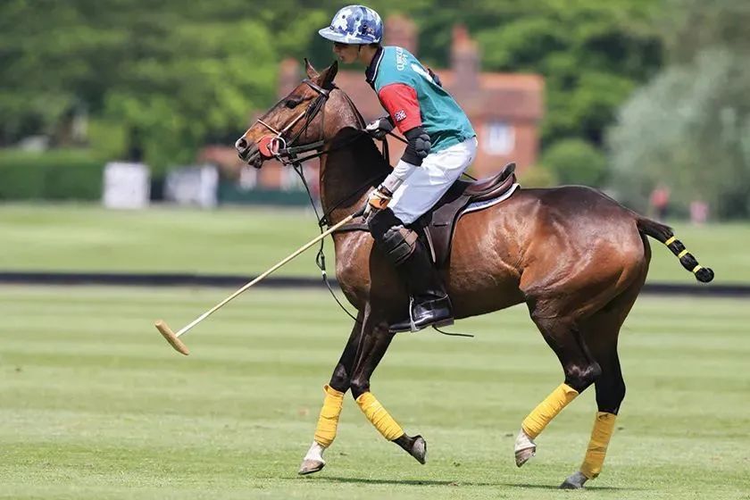 世界杯首场英格兰对伊朗谁会赢,世界杯揭幕战战况