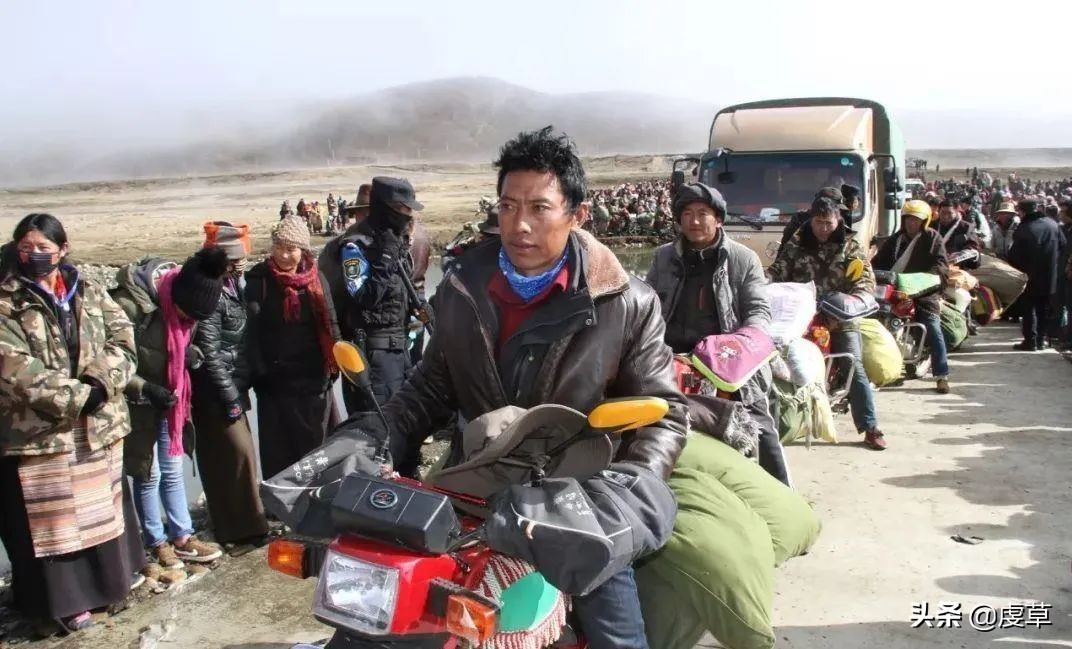 鲜虫草正当季,鲜虫草采收