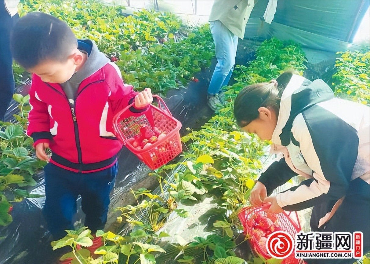 新疆乌鲁木齐旅游网红打卡,打卡乌鲁木齐网红景点