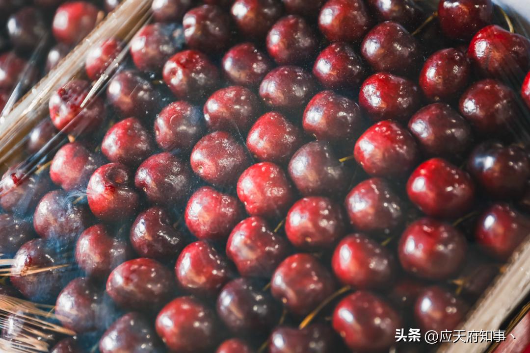 南京众彩买年货攻略,去南京众彩市场买什么最划算