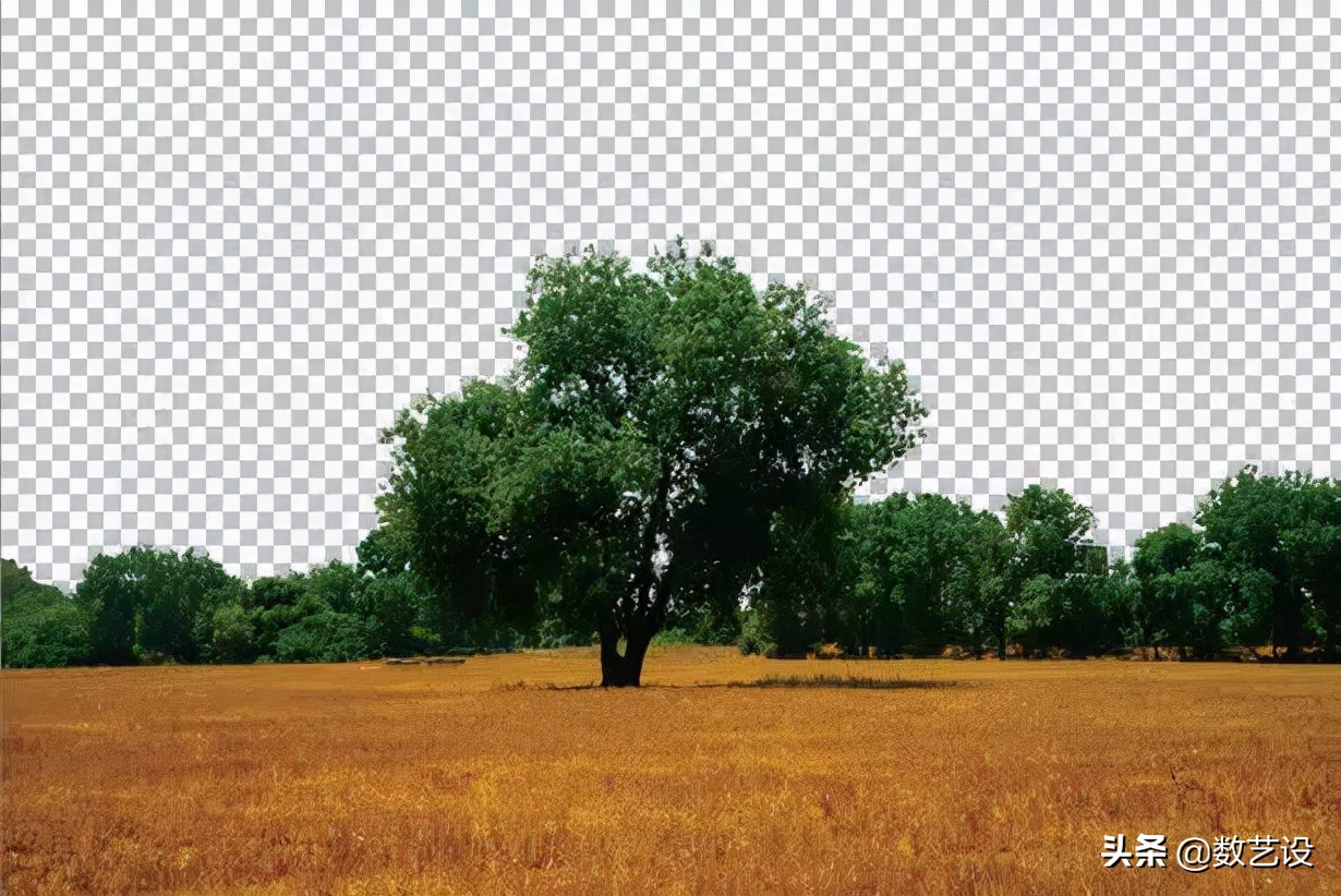 通道抠图如何选择对比强烈的,通道抠图知识点