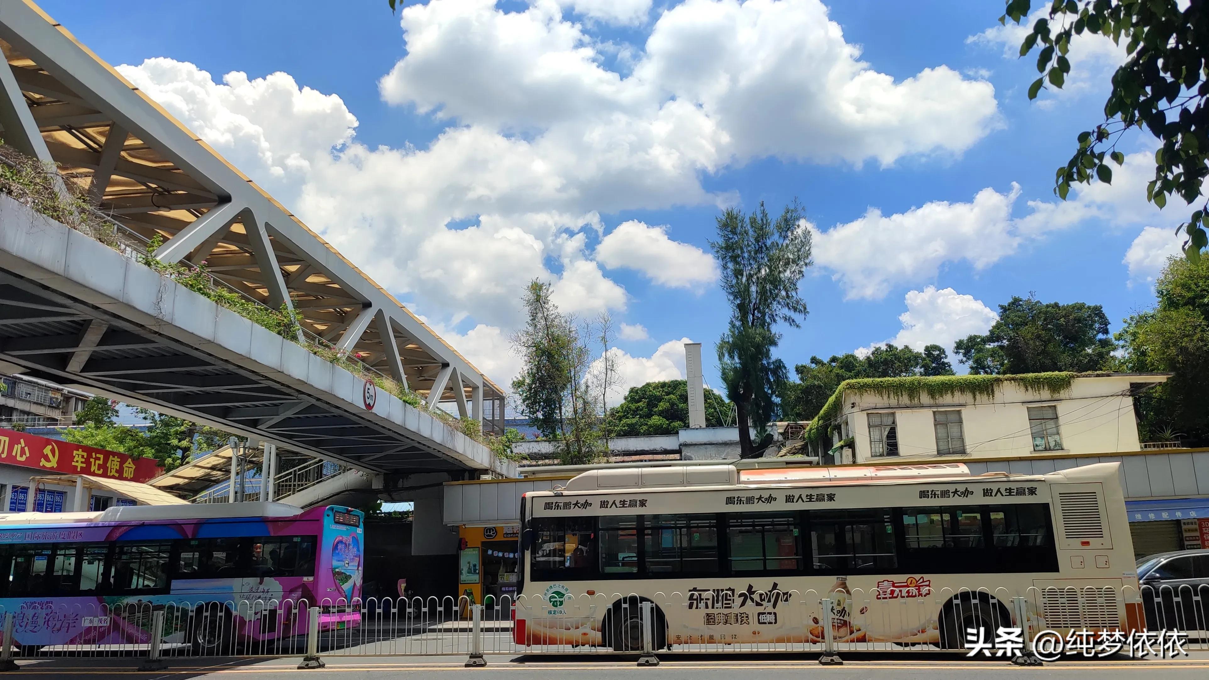 夏天随手一拍就是最好的画面,这张照片勾起了夏天的美好时光