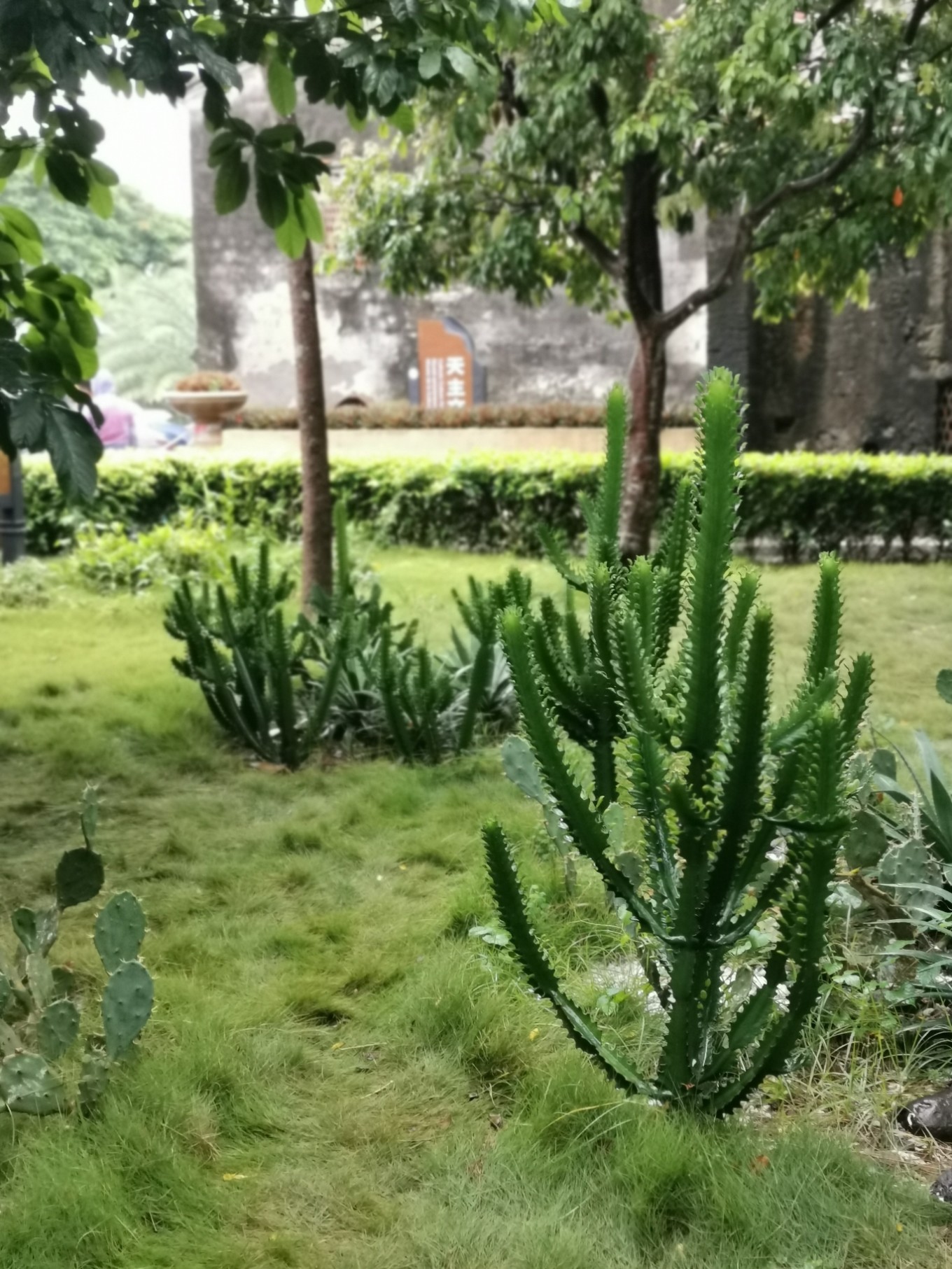 北海是一座令人向往的城市吗,北海是浪漫的城市