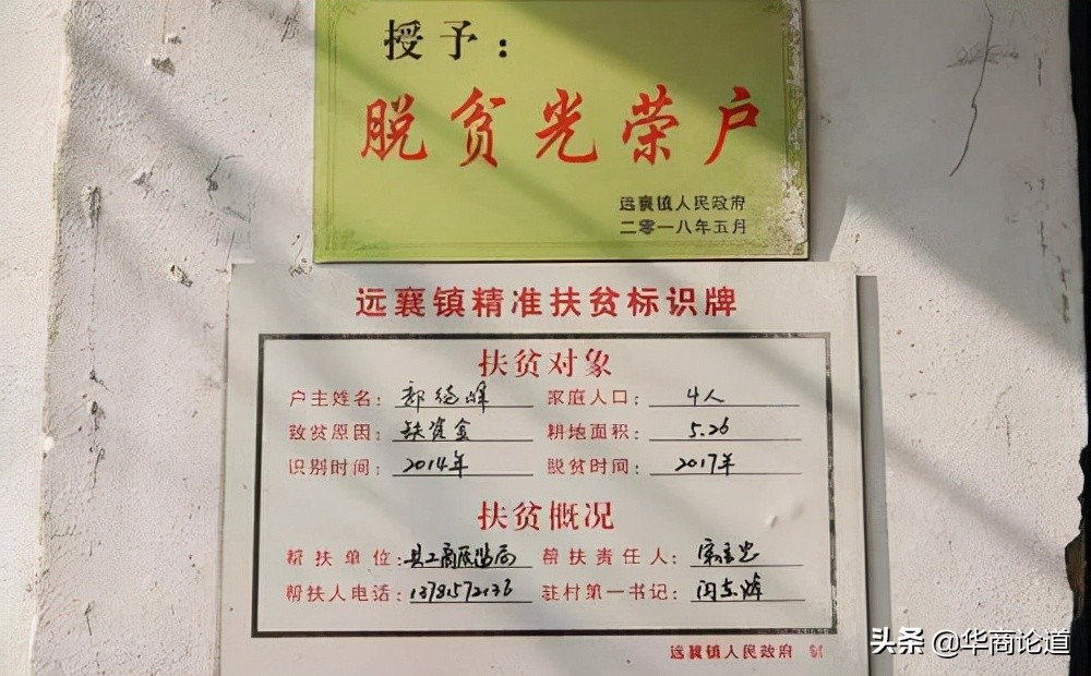 商丘市柘城的白菜挂在网上卖？还有更多致富门路呢