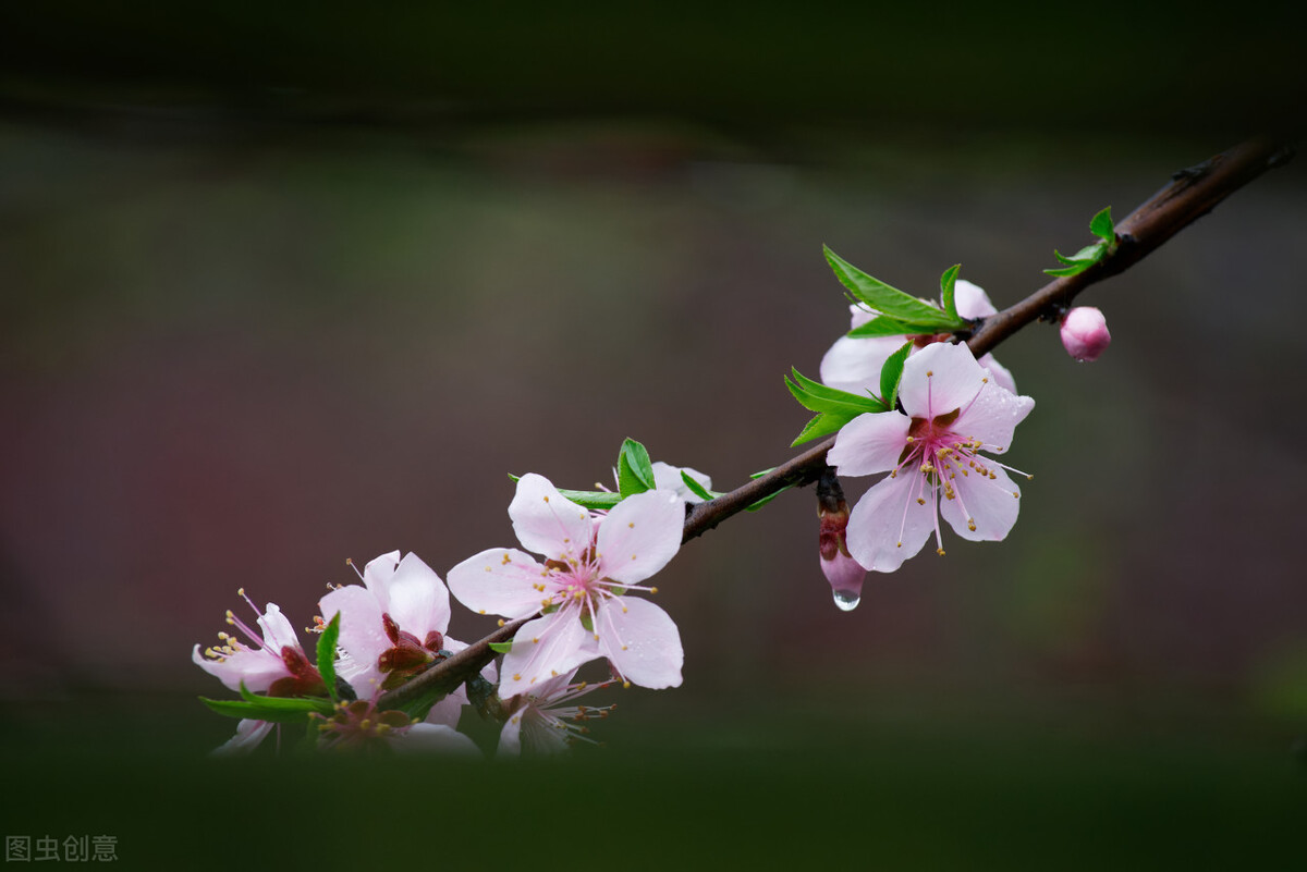 大多数老人退休后的现状,退休后老人的生活状态有哪些