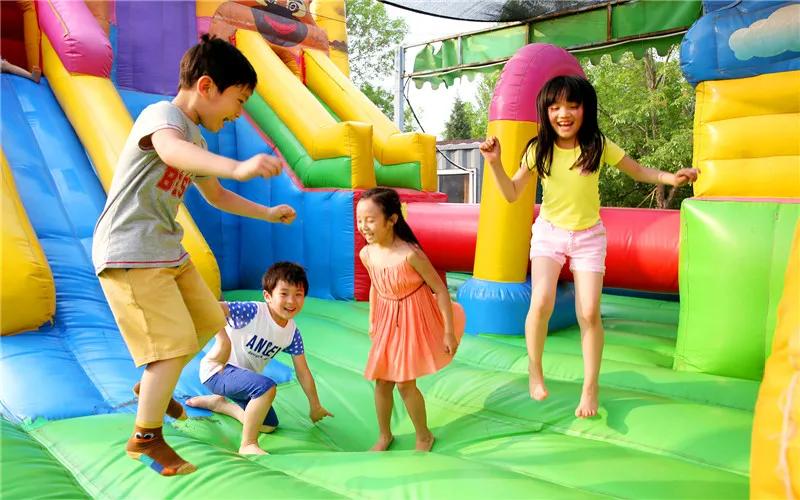 20万元在农村可以干些什么赚钱,农村年赚20万的项目