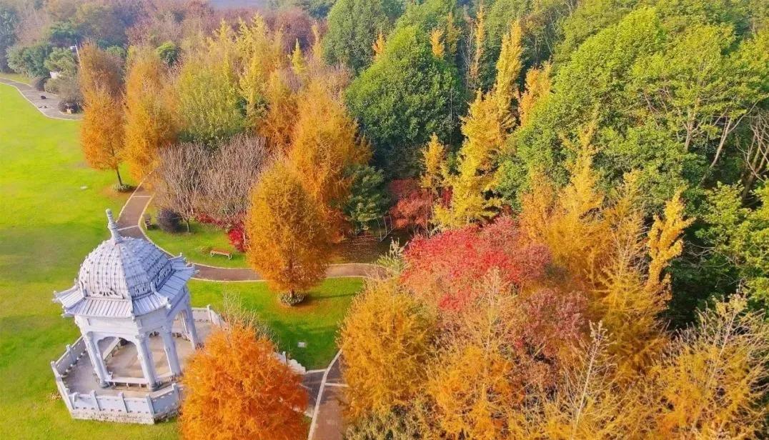 湾里商超,湾里为什么发展不起来