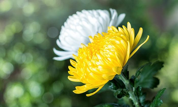 白酒设备现卖,白酒酿酒设备小型家用