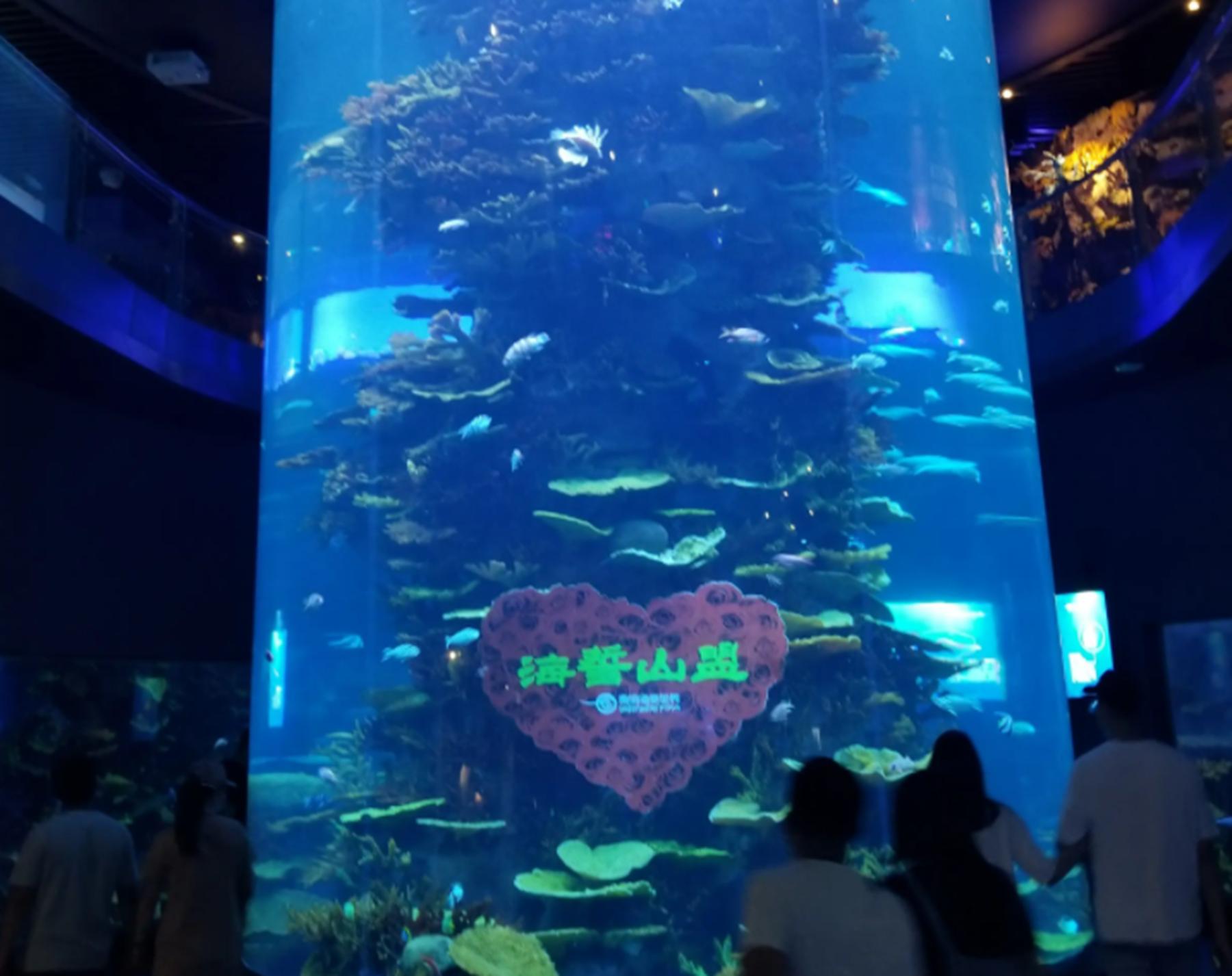 自然风光青岛秦皇岛哪个更好玩,青岛极地海洋和海底世界哪个好玩