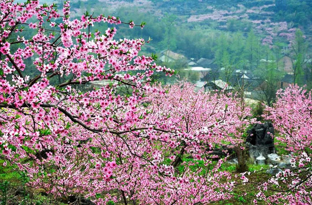 5月底桂林梯田摄影,桂林阳朔山水风光摄影团攻略
