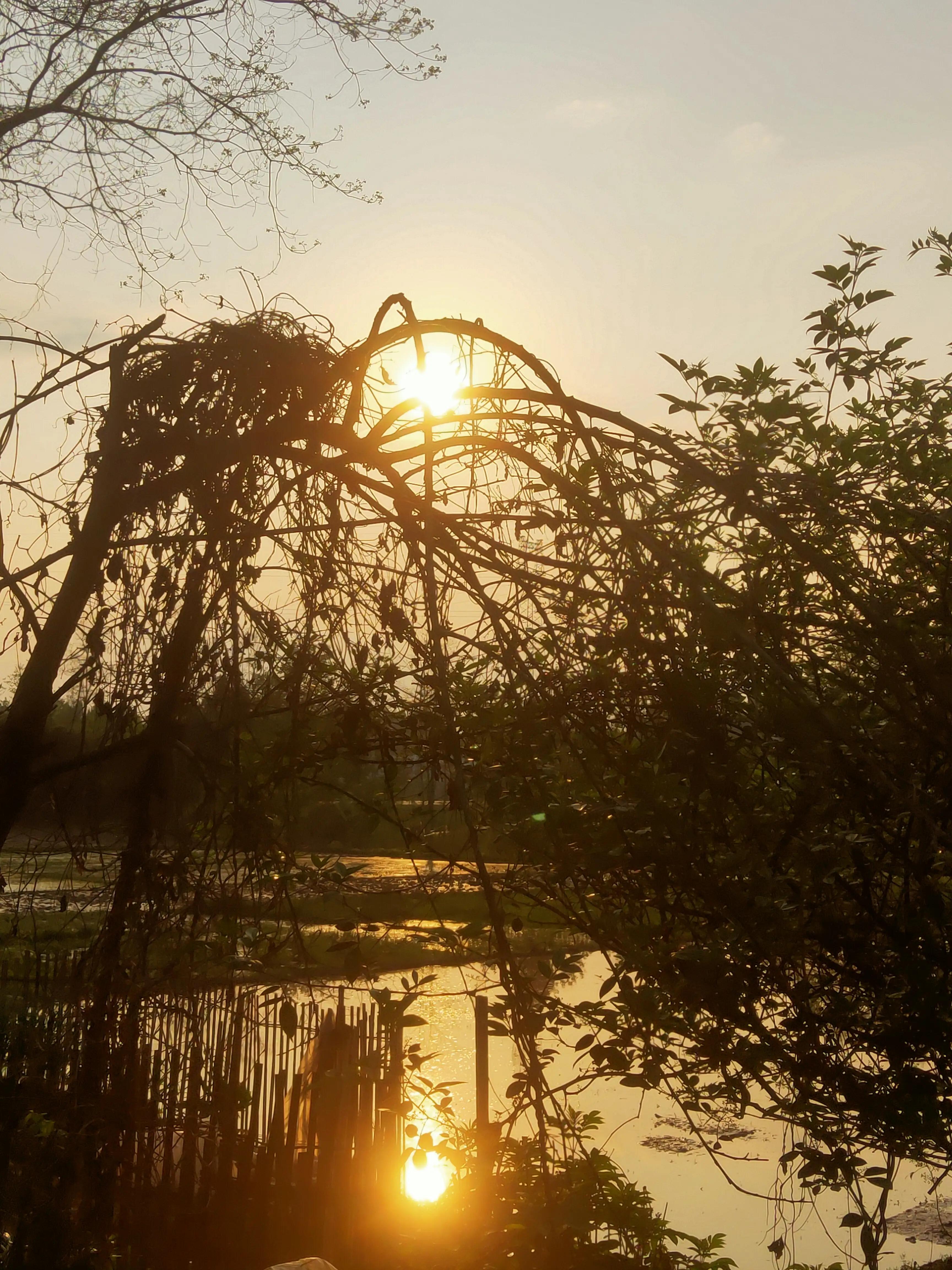 被碰瓷事件,被碰瓷实录