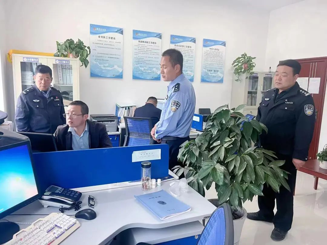 成县拘留8名违法行为人,成县5名违法行为人被拘留