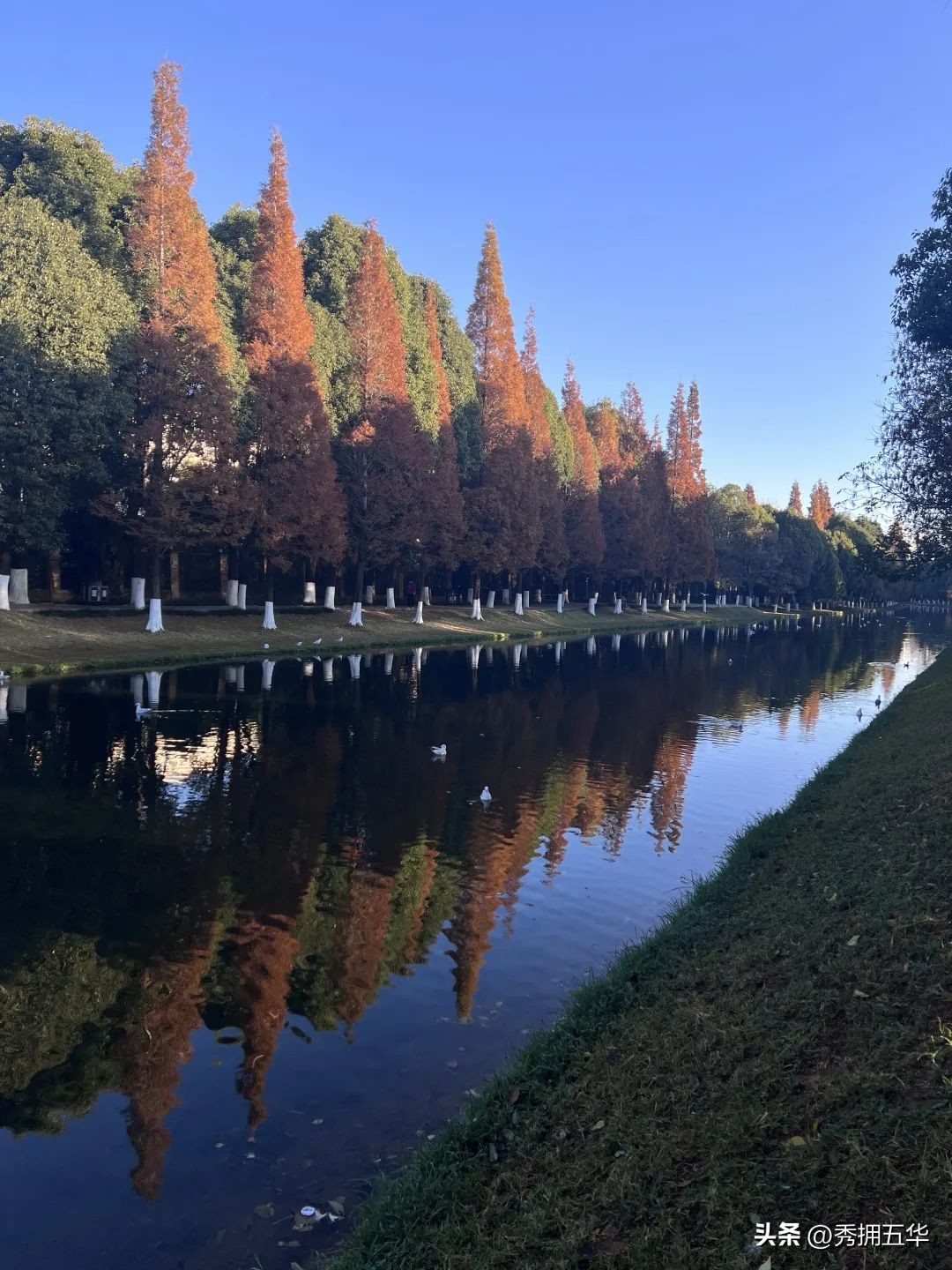 哇晒昆明|最爱为运动花钱的昆明人，有啥花样玩法？