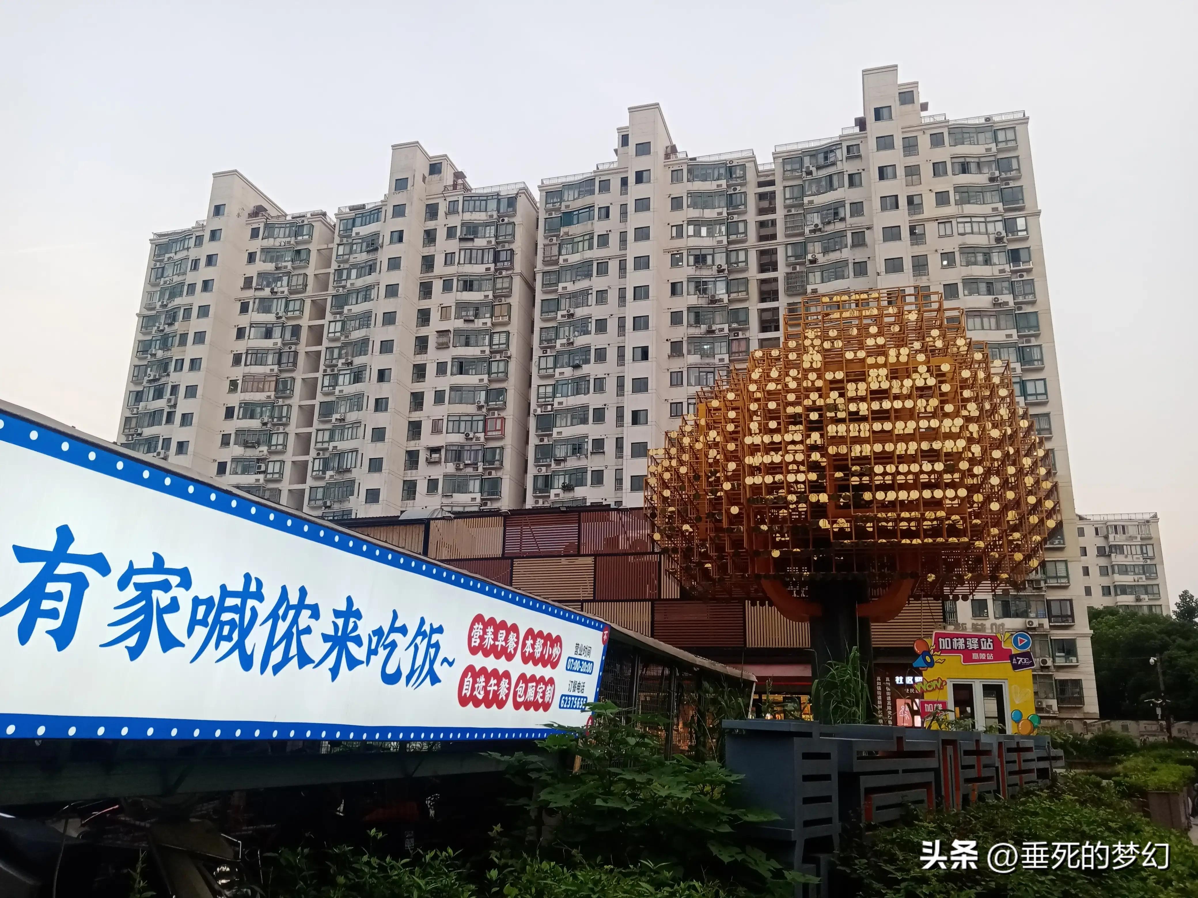 美丽的普陀,美丽普陀同心家园