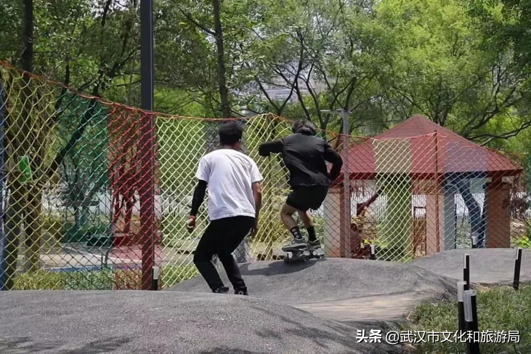 焕新乐园未来5年规划,湿地公园改造前后对比