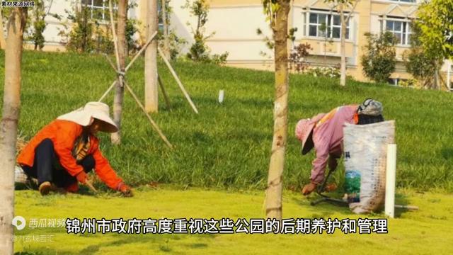 国家为什么要大力发展锦州,锦州未来有发展潜力吗