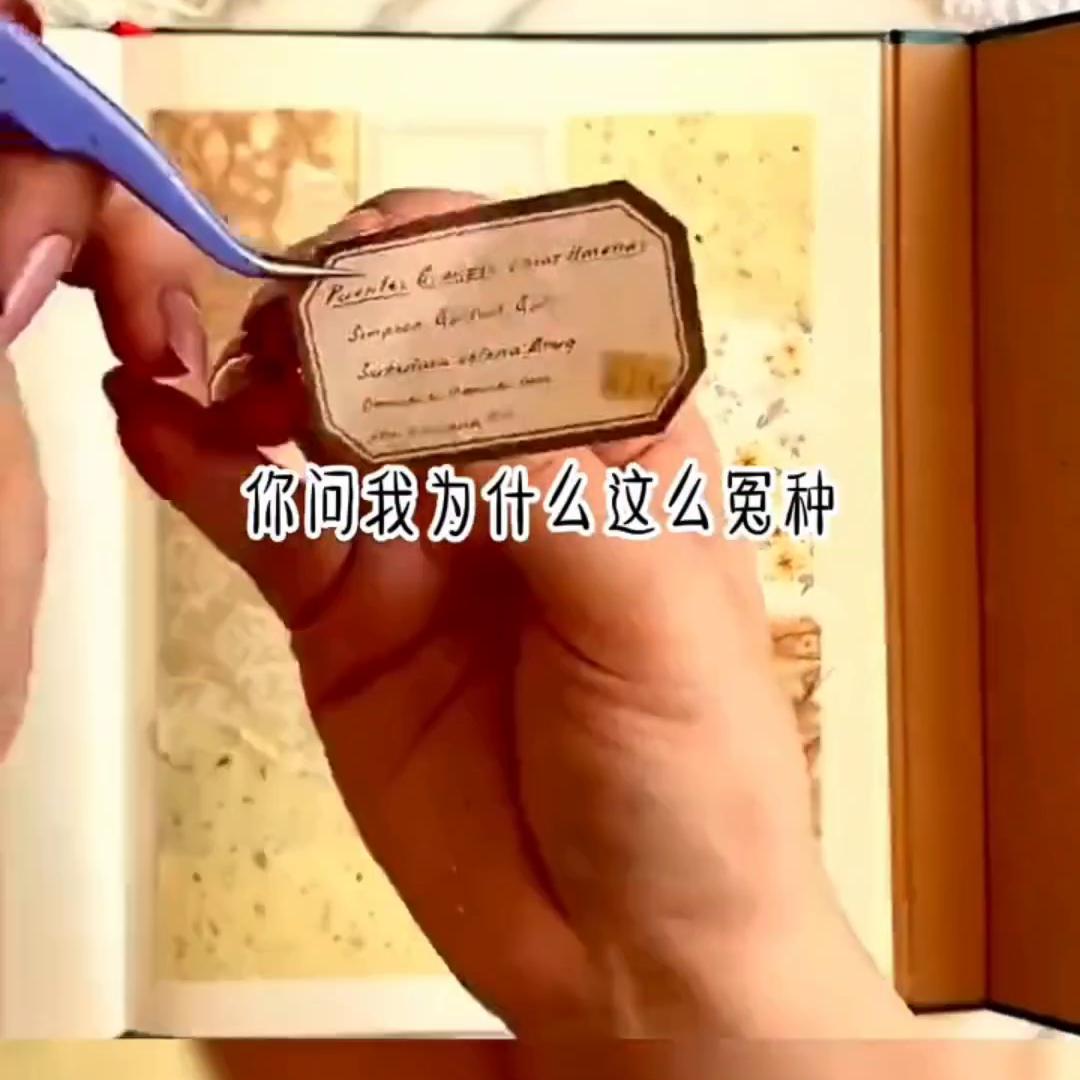 热门网文小说排行榜,热门网文改编电视剧推荐