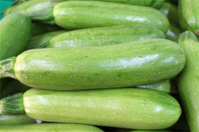 西葫芦和角瓜哪个好吃,西葫芦和角瓜有什么区别