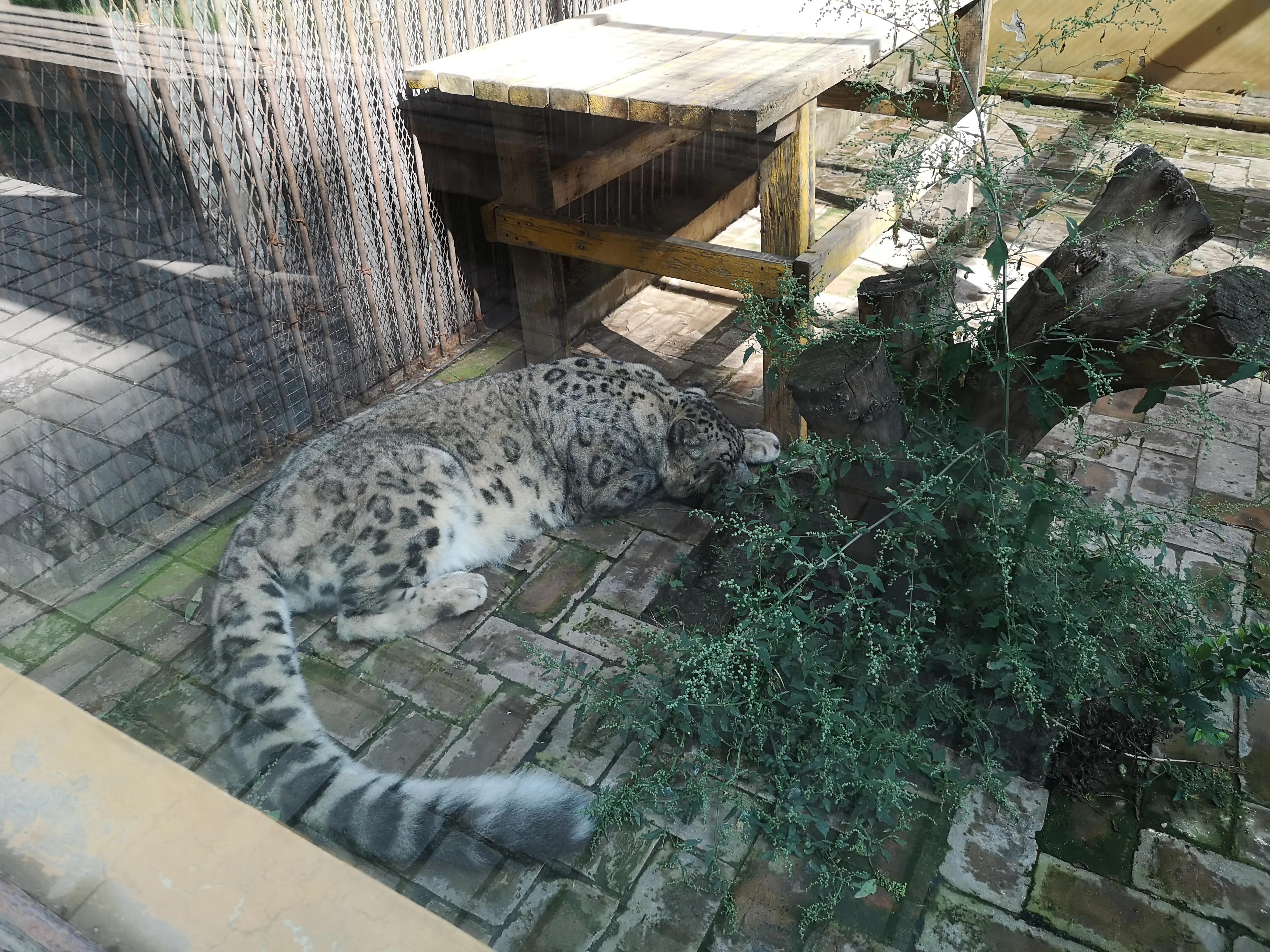西宁一座不大的城市,西宁人少的山