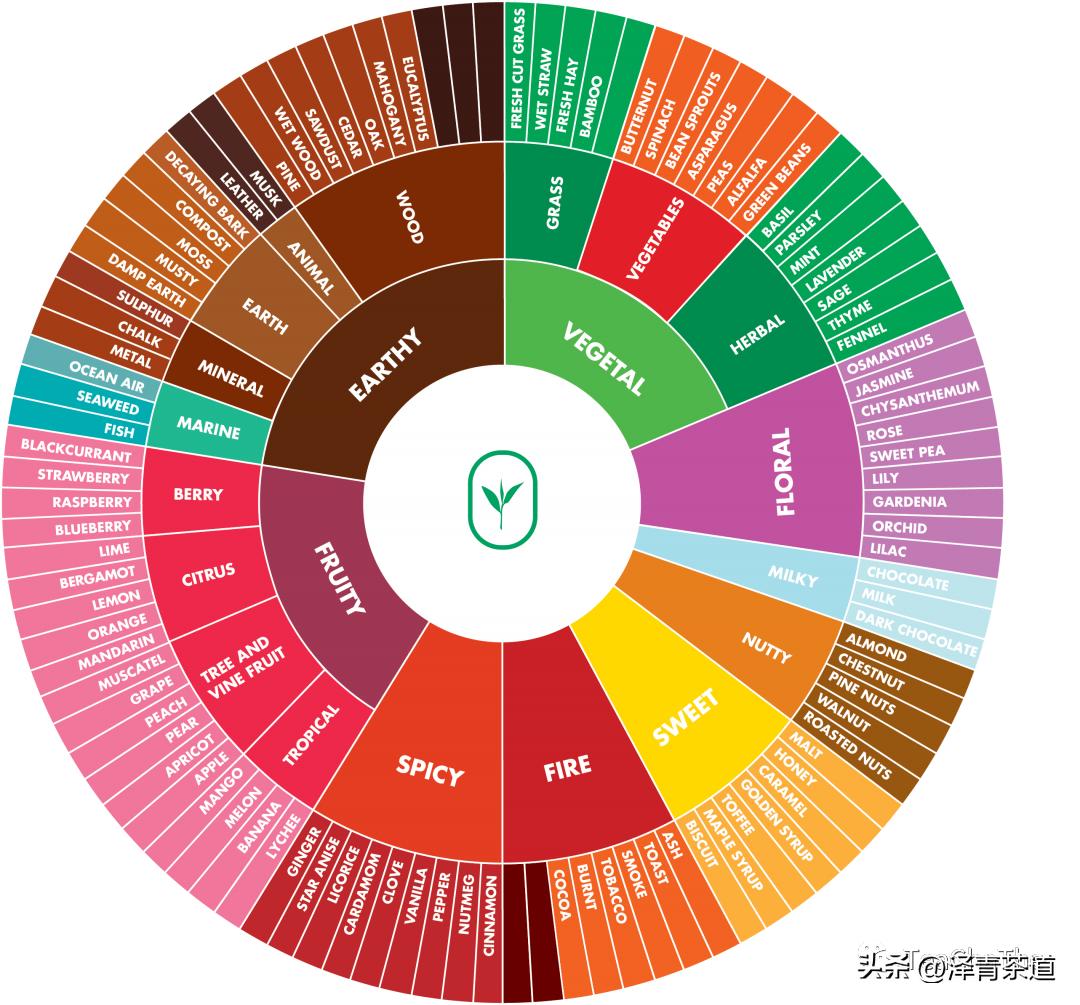 2022年茶行业未来发展与前景,未来十年茶行业的发展机会