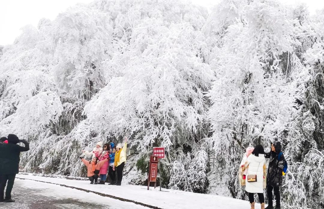 金佛山玩雪自驾攻略,去金佛山看雪怎么玩