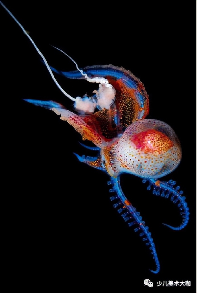 创意美术简单易学,创意美术幼儿