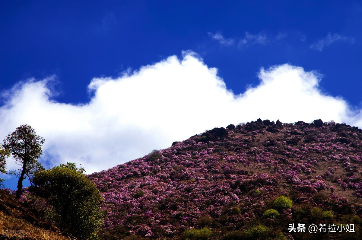 昆明机场周边有哪些旅游景点,元旦昆明周边有免费玩的景点吗