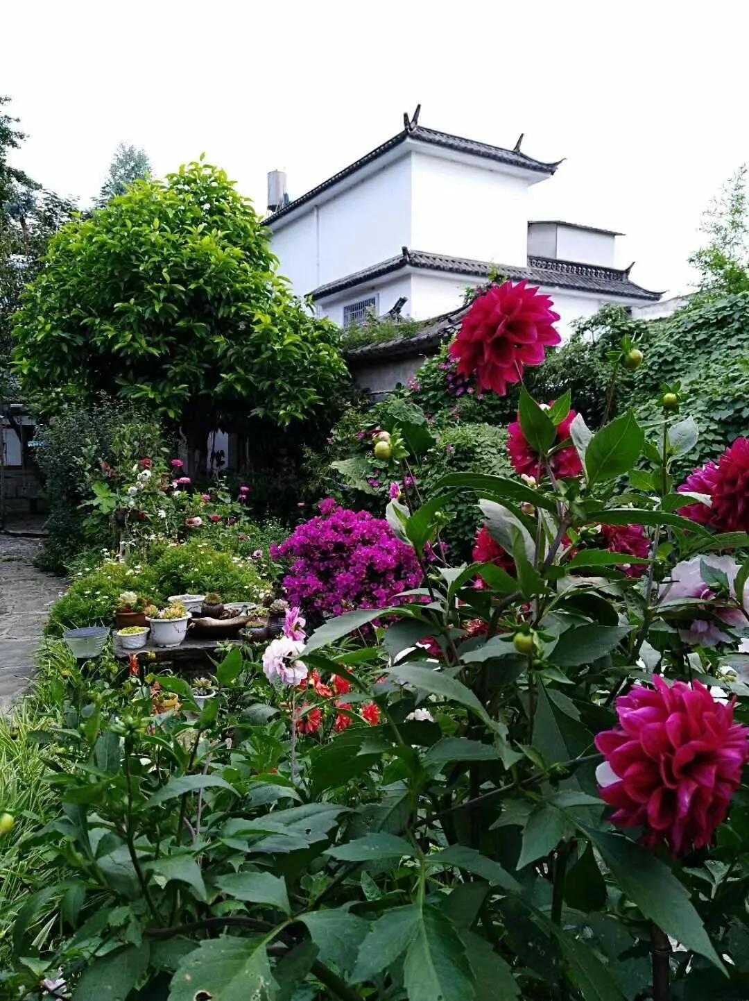 五毒缠身,五毒是怎么驱赶的