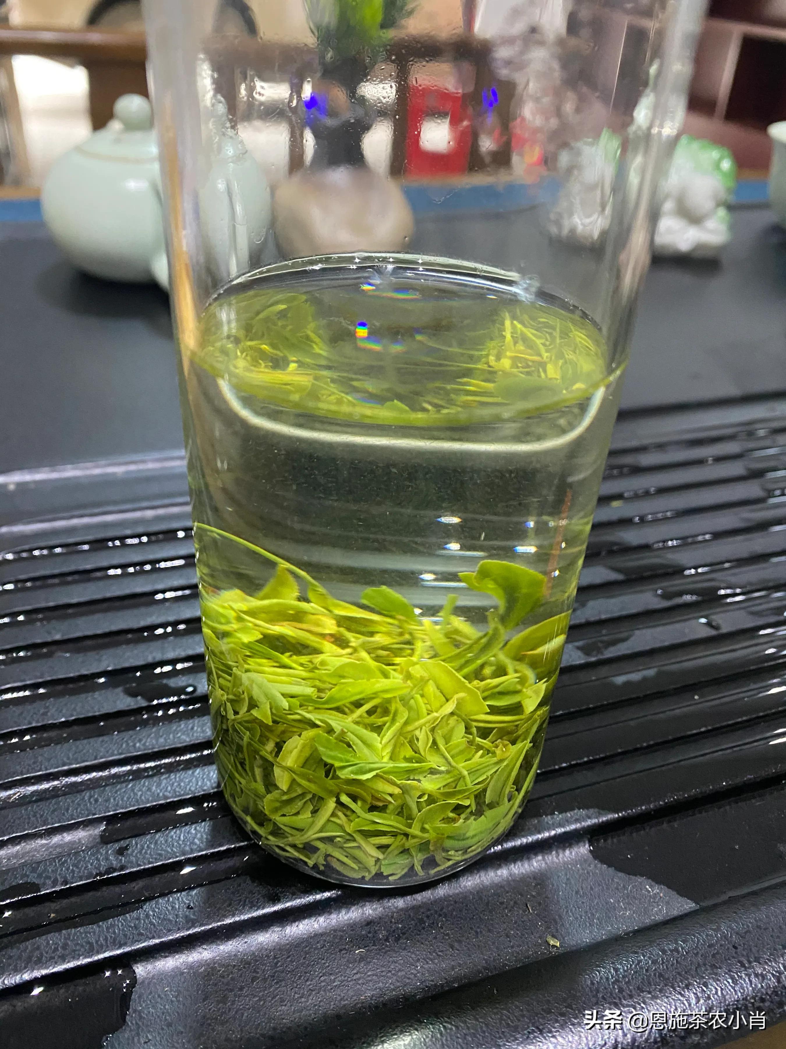 湖北恩施明前高山云雾茶,湖北恩施有什么茶好喝的