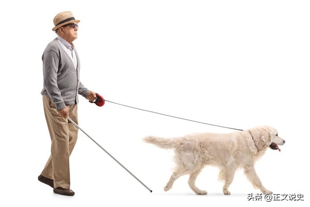 不文明遛狗惹出大麻烦,遛狗不拴绳反把路人打骨折后续