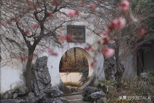 李清照词中花的意象,李清照花意象